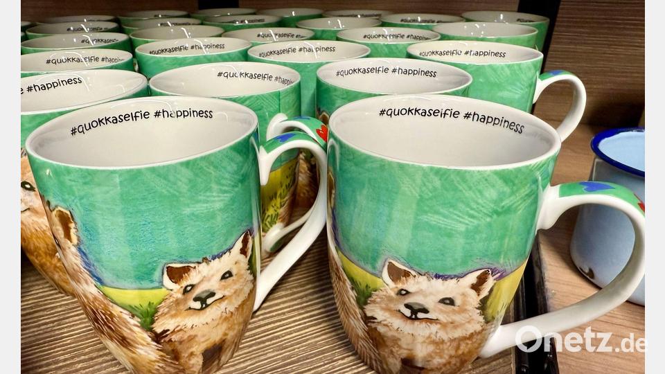Überall gibt es Souvenirs mit Quokka-Motiv zu kaufen. Bild: Carola Frentzen/dpa