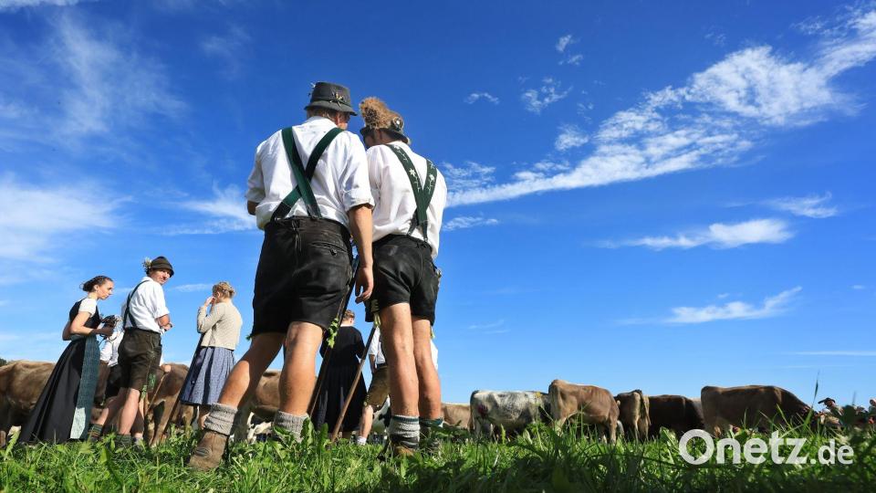 Hirten in Tracht: Viehscheid in Bayern Bild: Karl-Josef Hildenbrand/dpa