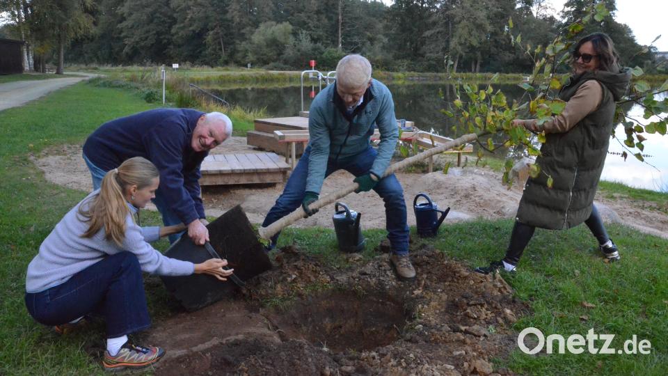 Die Pflanzaktion verlangte starke Hände. Bild: Kunz