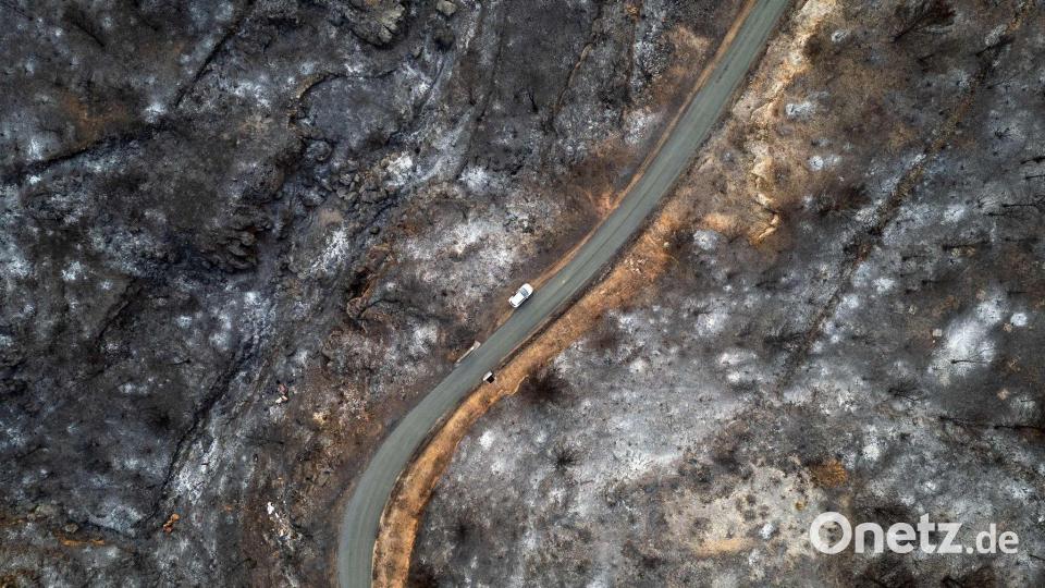 Der weltweite Schaden durch Flächenbrände hat seit 2015 stark zugenommen. (Archivbild) Bild: Lionel Bonaventure/AFP/dpa