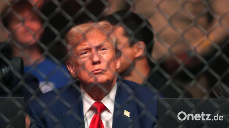 Trump gilt als Fan der Kampfsport-Liga UFC und saß mehrfach selbst im Publikum. (Archivbild) Bild: Steve Marcus/Las Vegas Sun via AP/dpa