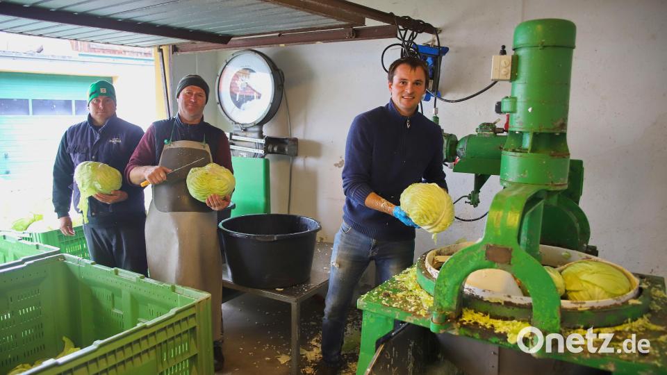 Knochenarbeit in der Landwirtschaft, dazu zählt das Schneiden und Hobeln des frisch geernteten Weißkrauts. Bild: war