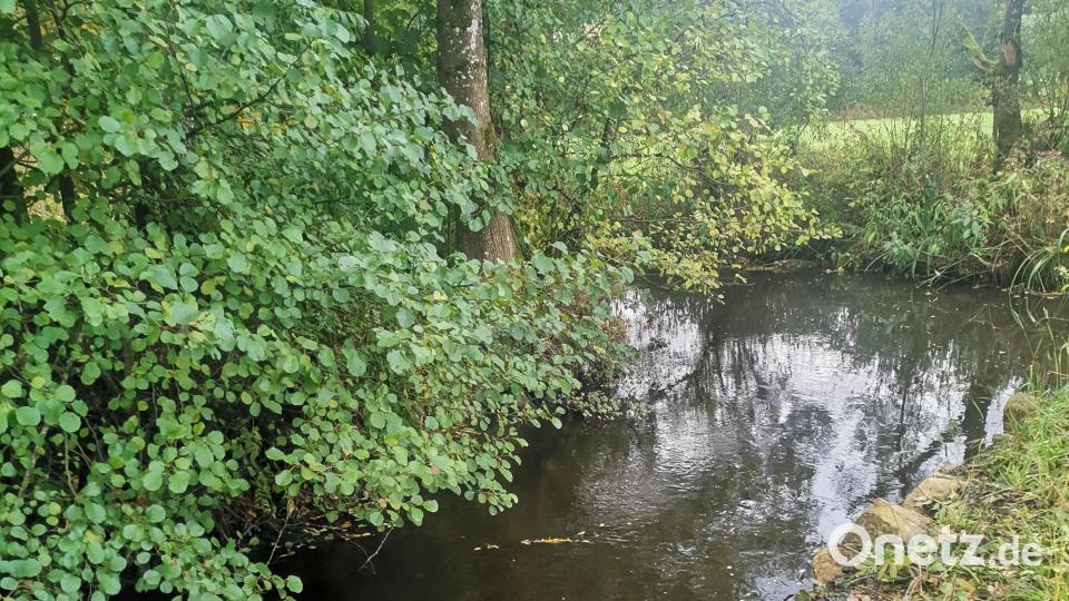 Hier, an der Hundhagermühle deutet nichts auf die Defizite der Ascha hin. Nach Erkenntnissen der Fachleute ist aber über die Hälfte des Flusses in keinem guten Zustand. Bild: amö