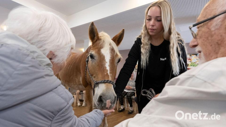 Die Bewohner können das Pferd füttern, streicheln und striegeln. Bild: Boris Roessler/dpa