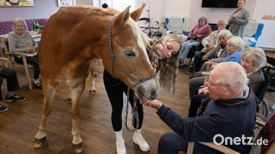 Der Besuch der Stute ist für die alten Menschen eine willkommene Abwechslung zum Alltag im Altersheim. Bild: Boris Roessler/dpa