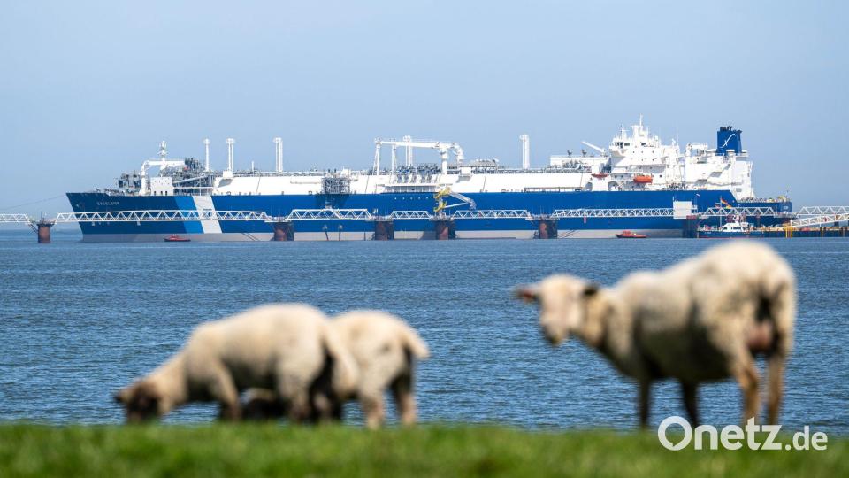 Das Spezialschiff „Excelsior“ hat als schwimmendes LNG-Terminal Ende August den kommerziellen Betrieb aufgenommen. (Archivbild) Bild: Sina Schuldt/dpa