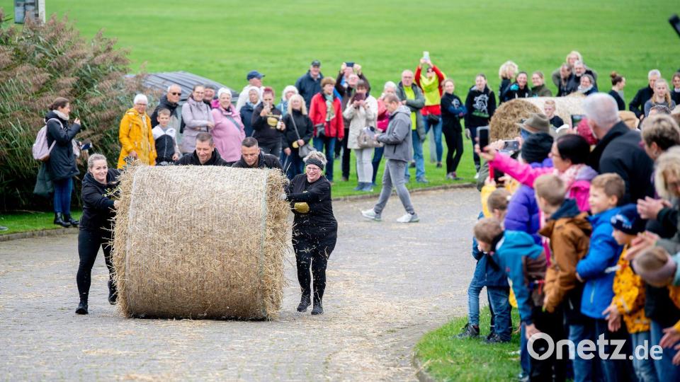 Und Action: Das Team "Die Strohstürmer" rollt bei der Strohballen-Rollmeisterschaft einen Strohballen den Deich hinauf. Bild: Hauke-Christian Dittrich/dpa