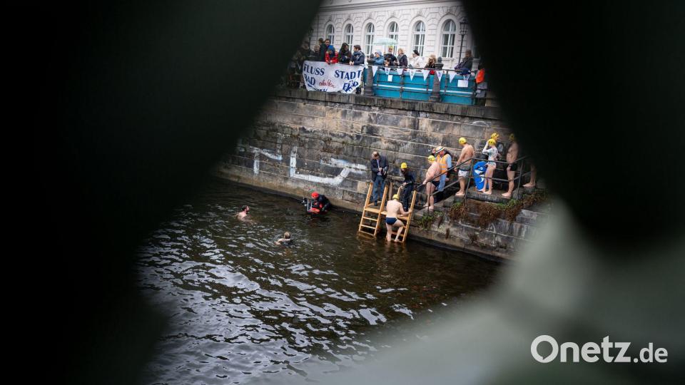 Teilnehmer steigen bei der Schwimmdemonstration gegen das Badeverbot in der Spree in Berlin ins Wasser. Bild: Fabian Sommer/dpa