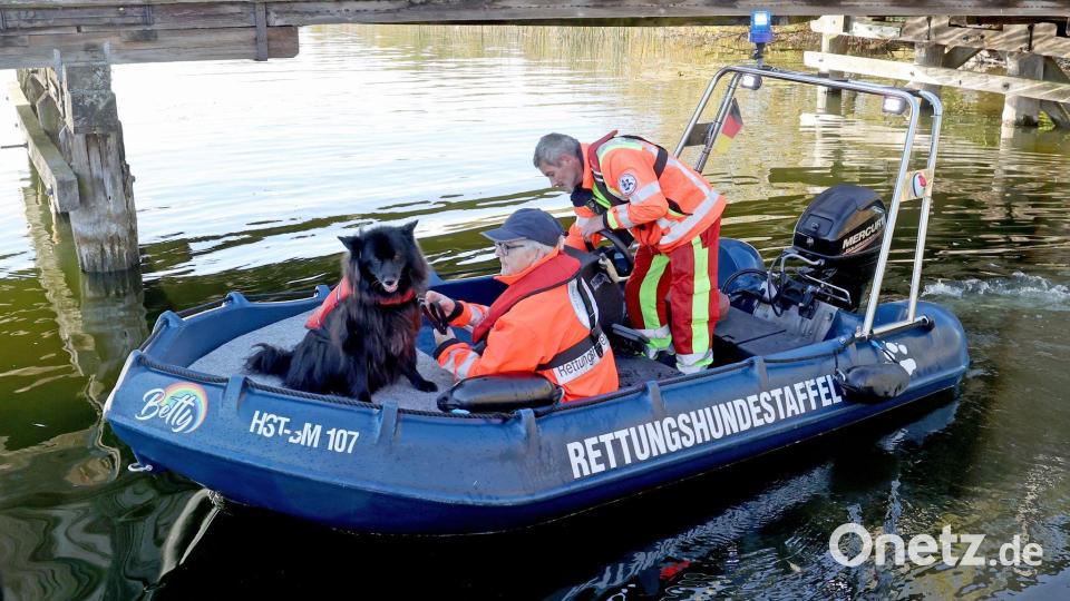 Spürhunde haben laut Polizei auf dem Inselsee am Stadtrand von Güstrow angeschlagen. Am Dienstagmorgen sollen Taucher in dem Bereich zum Einsatz kommen. Bild: Bernd Wüstneck/dpa