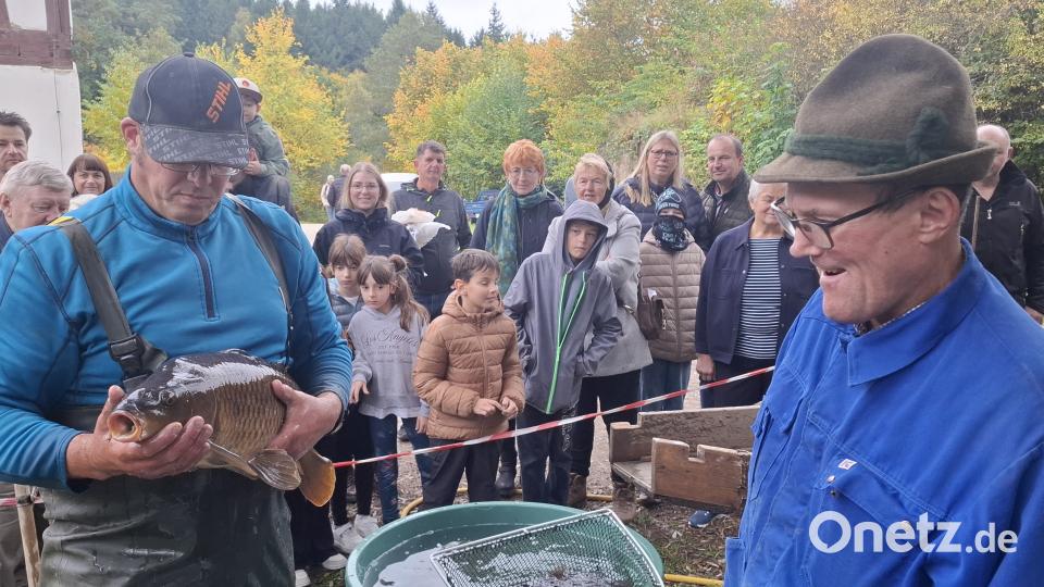5,5 Kilo wog der schwerste Karpfen. Bild: jua