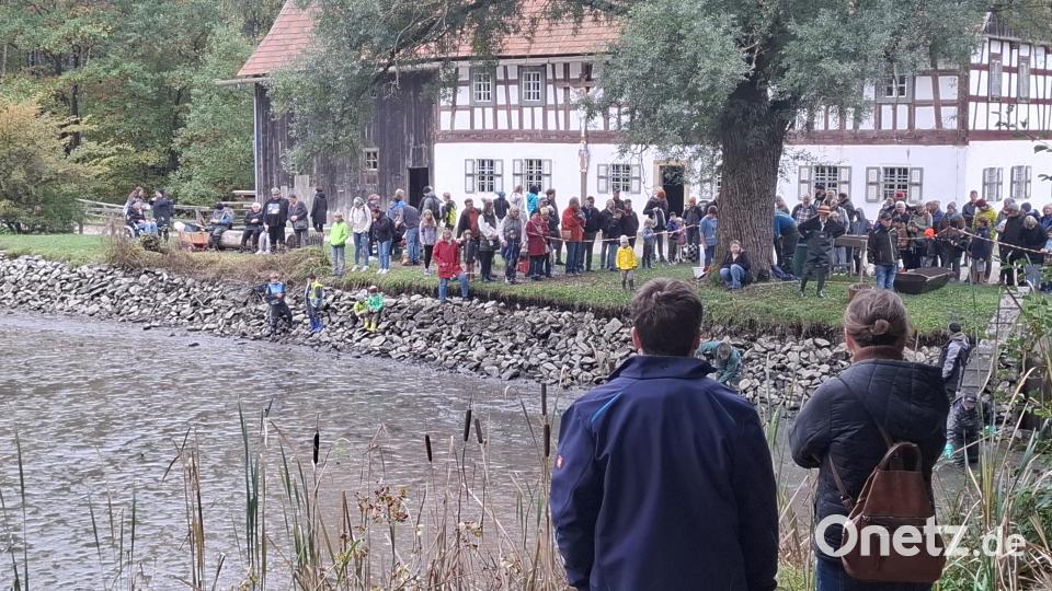 Das Abfischen des Mühlenteichs im Freilandmuseum Oberpfalz in Neusath interessierte viele Besucher. Bild: jua