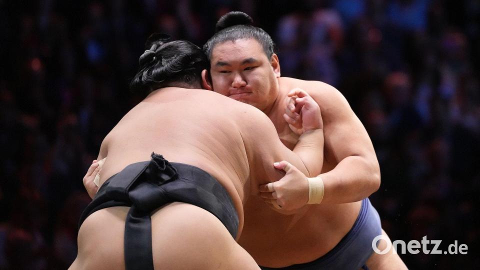 Hakuoho (l) und Hoshoryu in Aktion während ihres Kampfes beim Großen Sumo Turnier in der Royal Albert Hall in London. Bild: Frank Augstein/AP/dpa