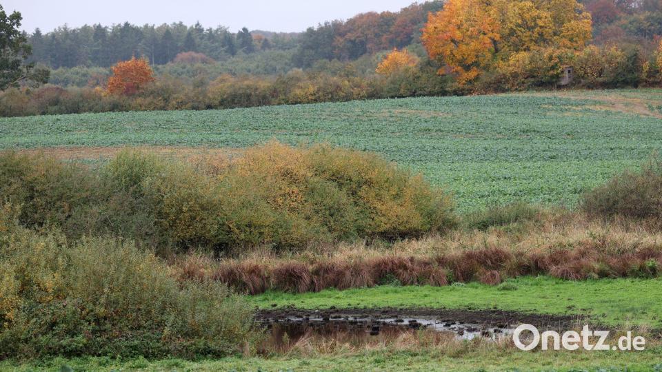 Die Suchmaßnahmen im Umfeld der Stelle, an der in der Nähe Güstrows am Dienstag ein toter Junge gefunden wurde, sind abgeschlossen. Bild: Bernd Wüstneck/dpa