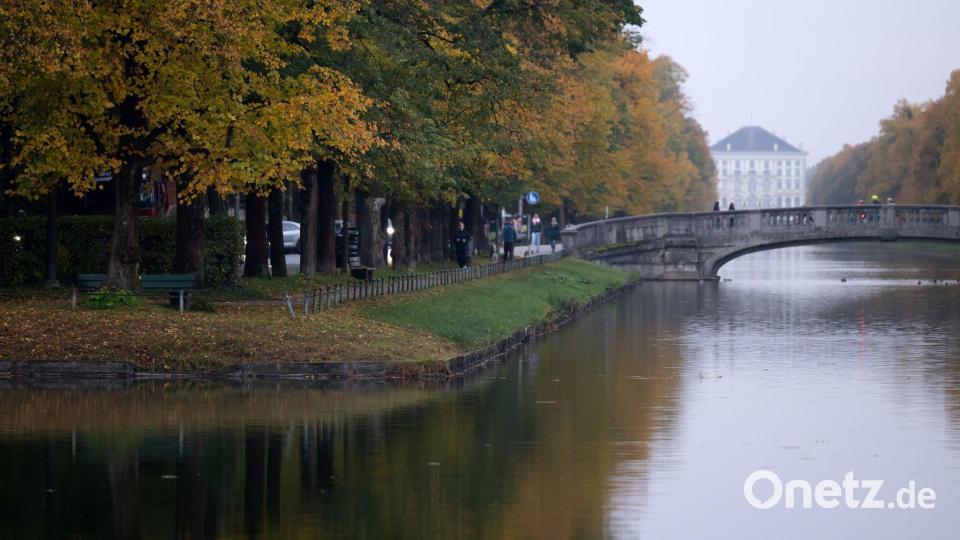 Am Wochenende soll es in Bayern herbstlich-nebelig bleiben. (Archivbild) Bild: Sven Hoppe/dpa