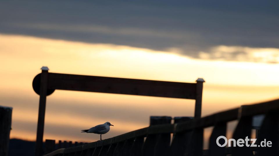 Herbstlicher Sonnenaufgang am Ammersee Bild: Karl-Josef Hildenbrand/dpa