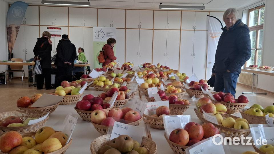 Weil Apfel eben nicht gleich Apfel ist: Im Angebot waren verschiedene Sorten. Bild: jua