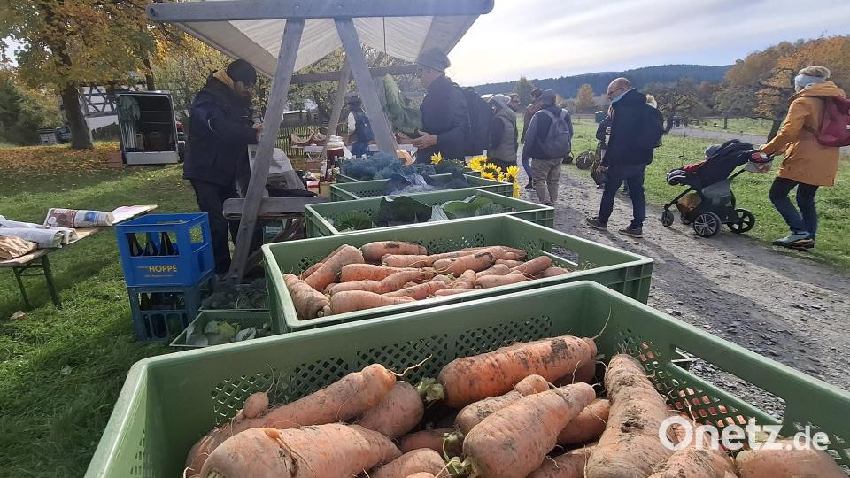 Vom Feld in den Verkauf: Auch Gemüse konnten die Besucher kaufen. Bild: jua