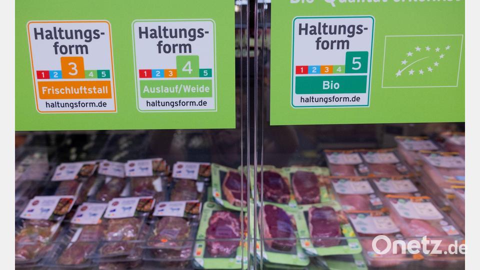 Die großen Handelsketten wollen bis 2030 auf höhere Haltungsformen umsteigen. (Archivbild) Bild: Rolf Vennenbernd/dpa