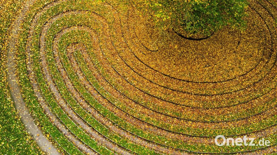 Herbstfarben im historischen Rasenlabyrinth "Das Rad" Bild: Julian Stratenschulte/dpa