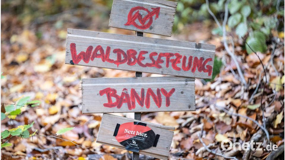 Waldbesetzung gegen Kiesabbau Bild: Boris Roessler/dpa