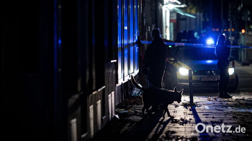 Auch Spürhunde sind im Einsatz. Bild: Moritz Frankenberg/dpa