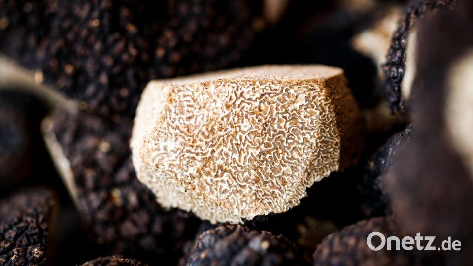 Ein aufgeschnittener Burgundertrüffel (Tuber uncinatum) auf einem Markt in der Schweiz. (Archivbild) Bild: Valentin Flauraud/KEYSTONE/dpa