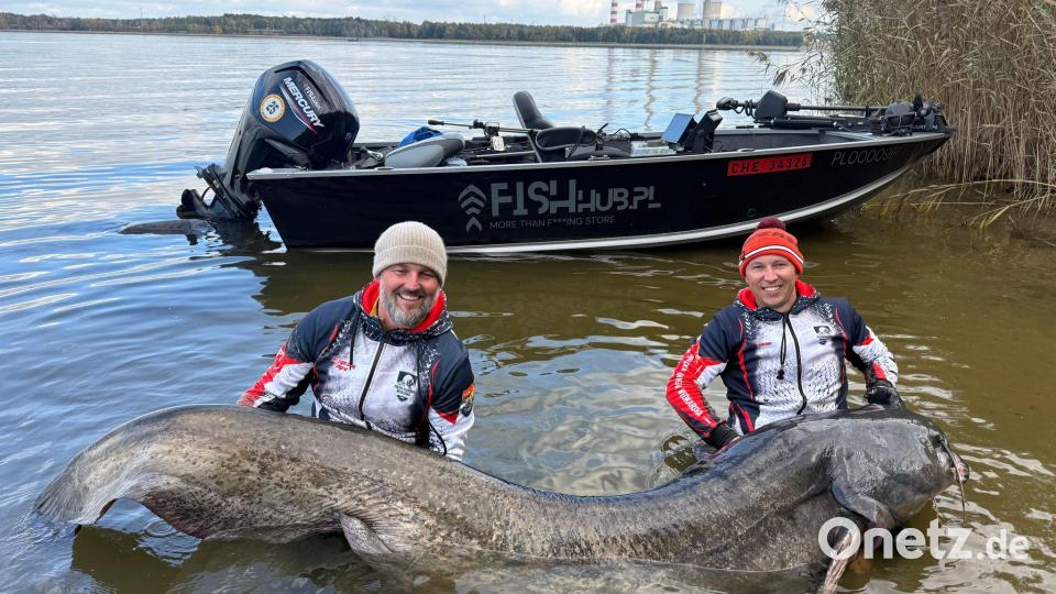 Zwei Angler in Polen haben einen fast drei Meter langen Wels gefangen. (Foto Handout) Bild: Polska Akademia Wedkarska/dpa