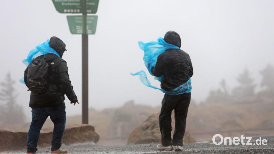 Auch am Freitag bleibt es der Vorhersage nach ungemütlich. Bild: Matthias Bein/dpa