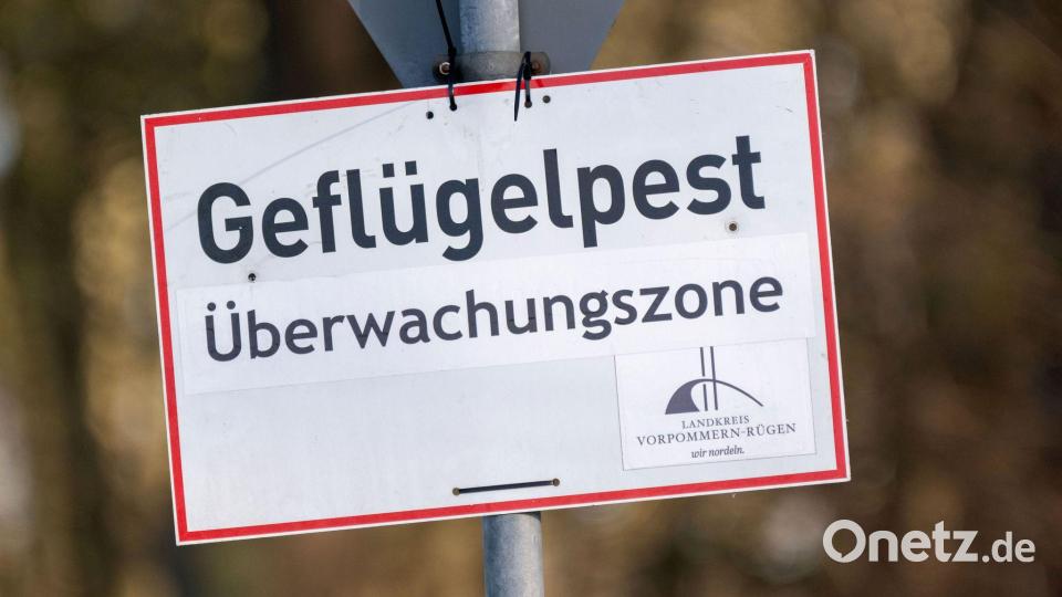 Pro getötetem Tier können Tierhalterinnen und Tierhalter bis zu 50 Euro erhalten. (Symbolbild) Bild: Stefan Sauer/dpa