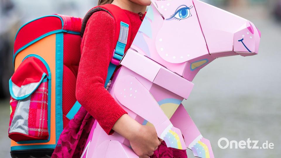 Farben und Glitzer sind typisch für Einhörner, aber nicht der entscheidende Grund für den Erfolg von Einhorn-Produkten. (Archivbild) Bild: Moritz Frankenberg/dpa
