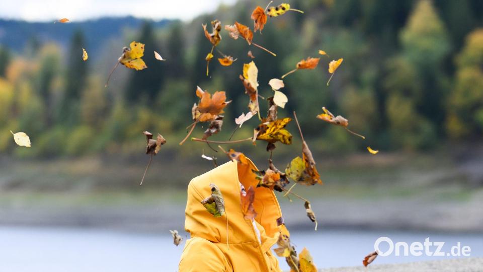 Eine Frau schaut an der Okertalsperre im Harz im Sturm fliegenden Blättern hinterher, die sie zuvor zur Belustigung ihres Sohnes in die Luft geworfen hatte. Bild: Julian Stratenschulte/dpa