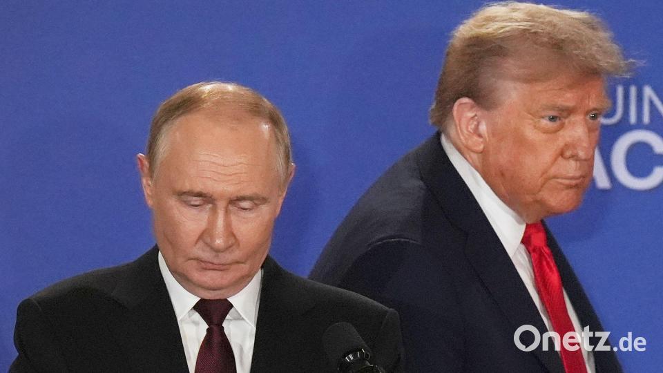 Zuletzt trafen sich Trump und Putin im US-Bundesstaat Alaska. (Archivbild) Bild: Jae C. Hong/AP/dpa