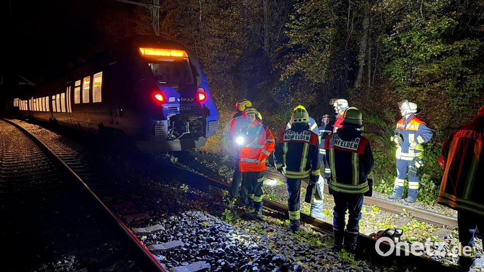 Bei dem Zusammenstoß mit einem Baum wurde kein Passagier des Zuges verletzt. Bild: Thorsten Kremers/dpa