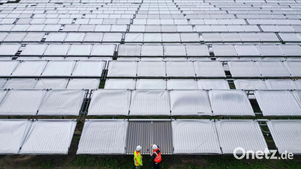 Leipzig-Lausen: Deutschlands größte Solarthermieanlage im Check durch Projektleiter. Bild: Jan Woitas/dpa