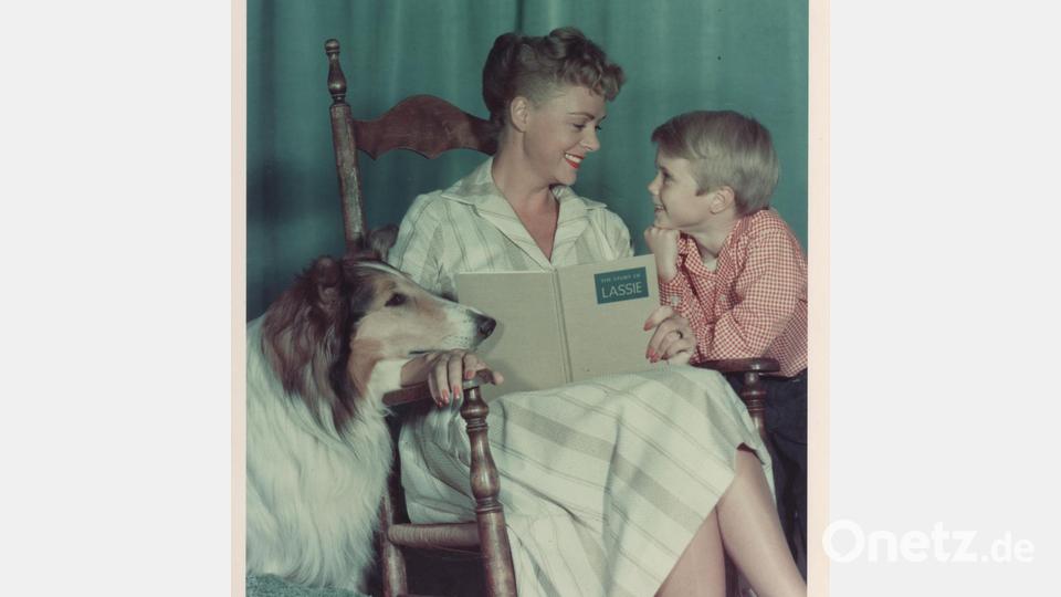 Provost und Lockhart drehten „Lassie“ gemeinsam von 1958 bis 1964. (Archivbild) Bild: Jon Provost Collection/dpa