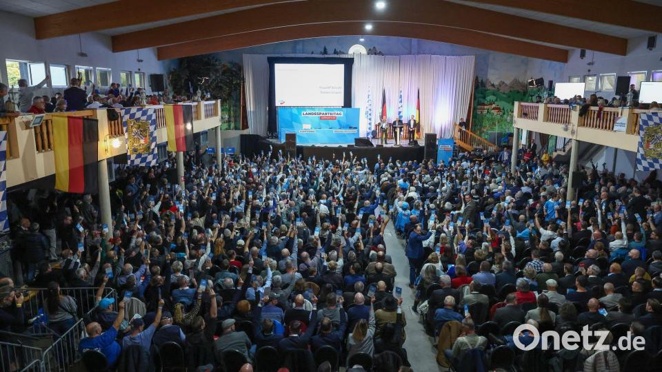 Mehr als 1.100 Mitglieder sind zum Landesparteitag gekommen. Bild: Daniel Löb/dpa