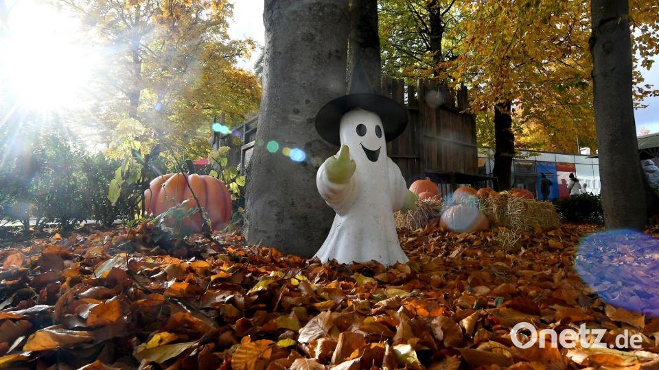 Halloween-Atmosphäre in München: Bavaria Filmstadt verwandelt sich zur Spooky Tour Bild: Felix Hörhager/dpa