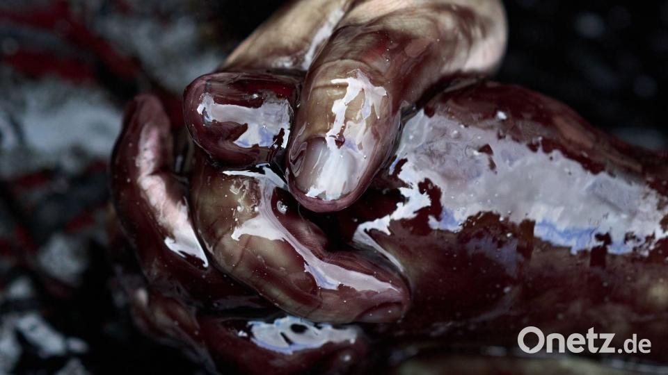 Umweltproteste in Den Haag: Die Hände eines Demonstranten sind mit Öl verschmiert, als er bei einer Demonstration der Extinction Rebellion eine Autobahn blockiert. Bild: Peter Dejong/AP/dpa