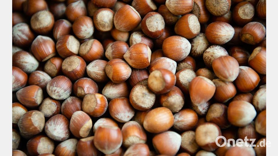 Die Haselsnussernte ist in Italien so schlecht ausgefallen wie seit Jahrzehnten nicht mehr. (Archivbild) Bild: Lisa Ducret/dpa