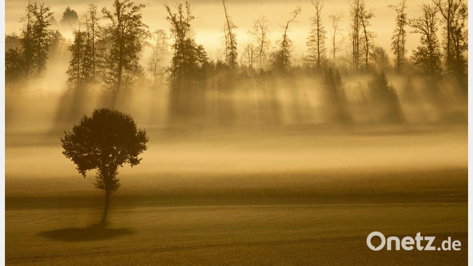 Sonnenstrahlen und Nebel am Morgen in Baden-Württemberg. Bild: Thomas Warnack/dpa