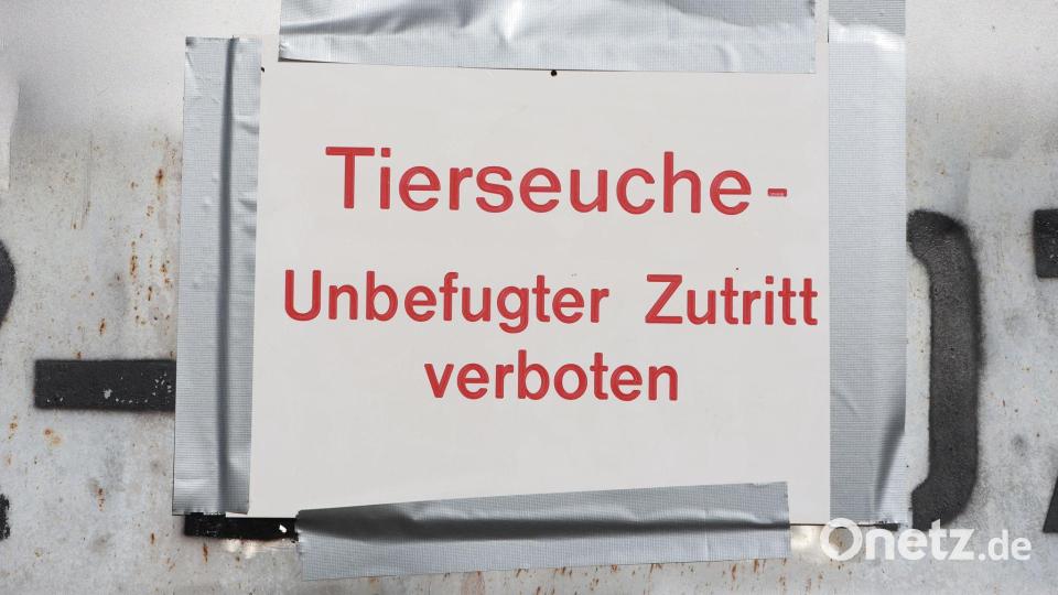 Die Geflügelpest versetzt Behörden und Landwirte in Alarmbereitschaft. (Archibbild) Bild: Matthias Bein/dpa