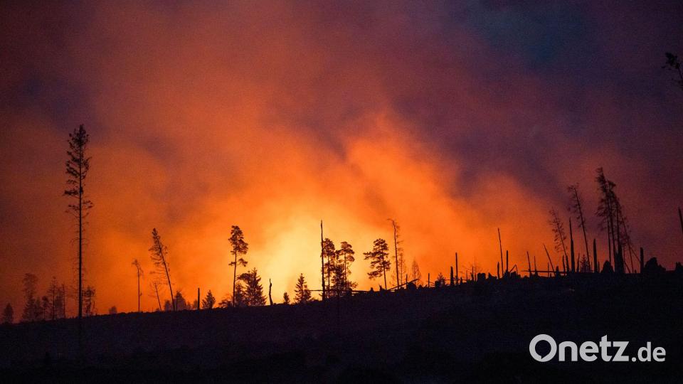 Waldbrände fachen mit ihren Emissionen die Erderwärmung zusätzlich an. (Illustraiton) Bild: Daniel Vogl/dpa