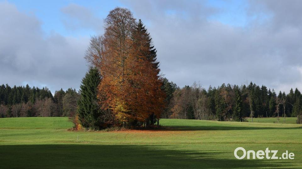 Am Wochenende soll das Wetter zweigeteilt werden: mal Sonne, mal Wolken und Regen. Bild: Karl-Josef Hildenbrand/dpa