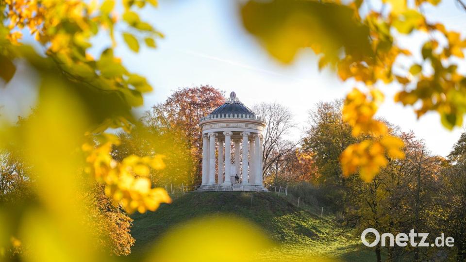 Der Englische Garten im Morgenlicht. Bild: Malin Wunderlich/dpa
