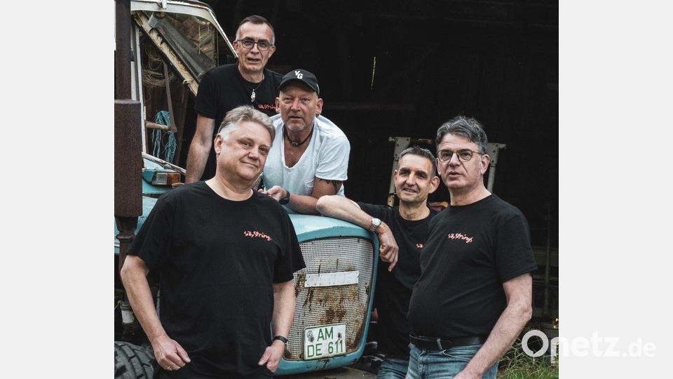 Alternative Rock-Folk bietet Silly Strings. Bild:  Silly Strings/exb
