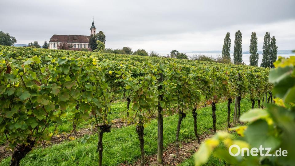 Wolkenverhangen zeigten sich große Teile Deutschlands in diesem Monat. (Archivbild) Bild: Silas Stein/dpa