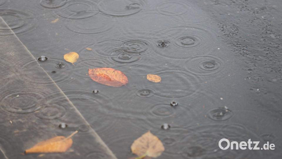 Insbesondere im Norden kam viel Regen herunter. (Archivbild) Bild: Sascha Thelen/dpa