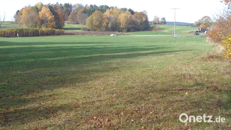 Eine Ausgleichsfläche zum Gewerbegebiet im Vordergrund liegt beim Kalvarienberg im Hintergrund. Bild: amö