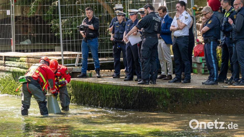 Mit viel Aufwand wurde nach der Ursache für das tödliche Unglück gesucht. (Archivbild) Bild: Peter Kneffel/dpa