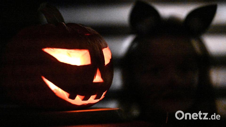 Halloween wird auch in Deutschland gefeiert. Bild: Swen Pförtner/dpa